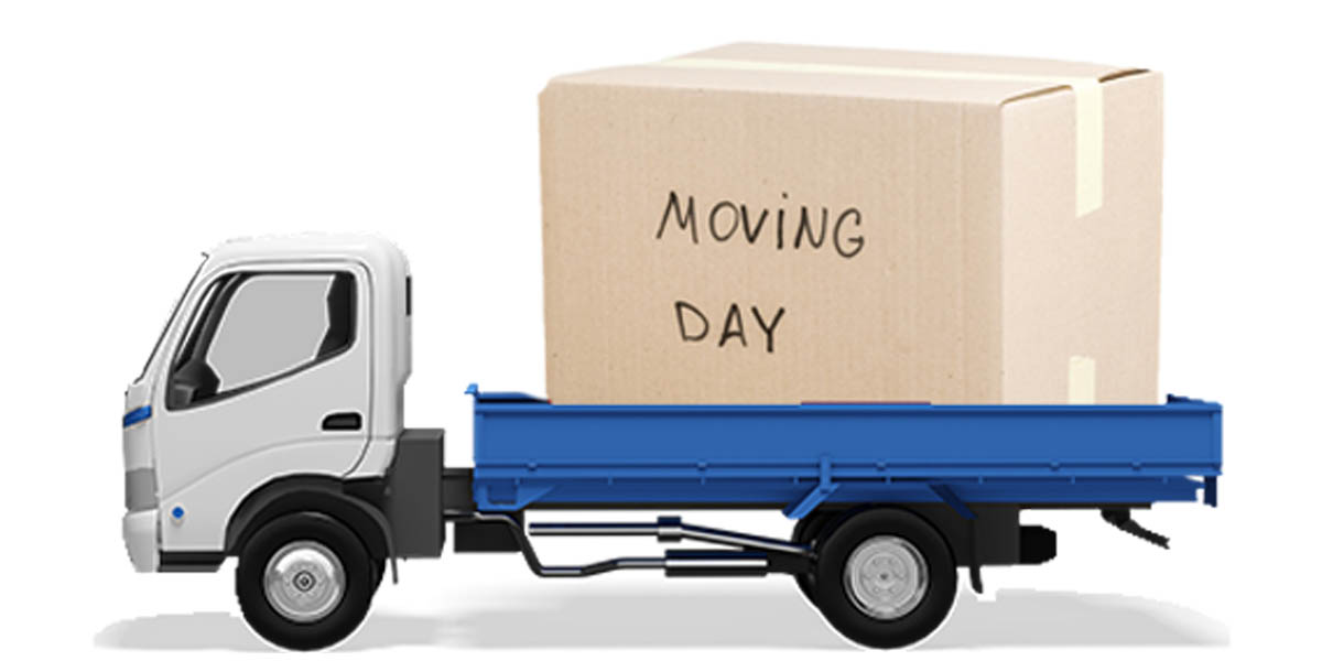 nellore packers and movers 