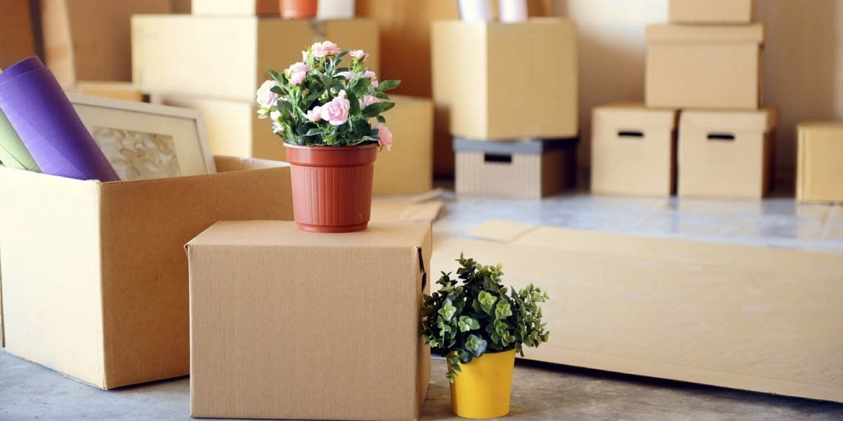 packers and movers in nellore
